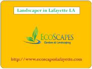 Horticulturist Lafayette