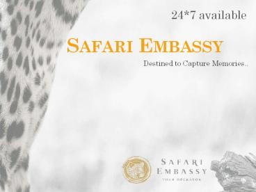 Safari Embassy Tour Operator (1)