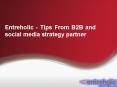 Entreholic - Tips From B2B and Social Media Strategy Partner PowerPoint PPT Presentation