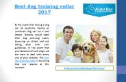 Best dog training collar 2017
