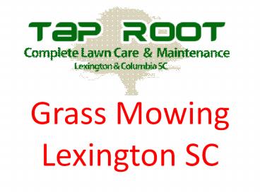 Professional Grass Mowing Lexington SC