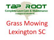 Professional Grass Mowing Lexington SC