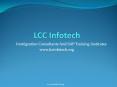 LCC Infotech | Immigration Consultants PowerPoint PPT Presentation