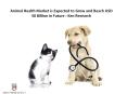 Animal Health Industry Trends, Europe Animal Health Industry report,  US Animal Health Market research PowerPoint PPT Presentation
