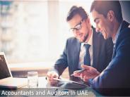 Accountants and Auditors in UAE