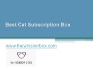 Best Cat Subscription Box - www.thewhiskerbox.com (1)