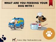 WHAT ARE YOU FEEDING YOUR DOG WITH!