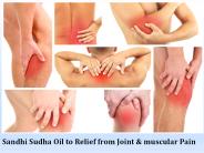 Sandhi Sudha Oil - Best Joint Pain Relief Oil