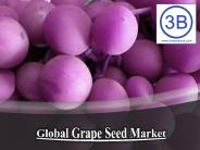 Global Grape Seed Market