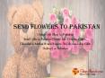 Send Flowers To Pakistan PowerPoint PPT Presentation