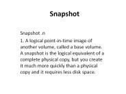 Storage Array Snapshots