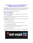 Serp Digger Review – (Truth) of Serp Digger and Bonus PowerPoint PPT Presentation