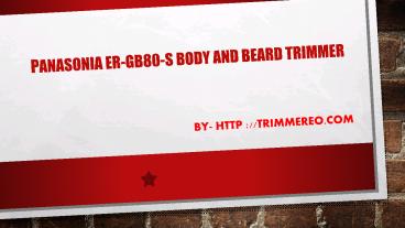   Panasonic ER-GB80-S Body and Beard Trimmer  