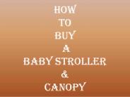 Baby Strollers (bugaboo bee plus hood)