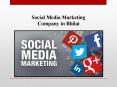 Social Media Marketing Company in Bhilai PowerPoint PPT Presentation