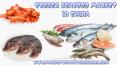 Frozen Fish & Seafood Market in China PowerPoint PPT Presentation