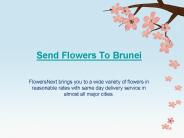Send Flowers To Brunei