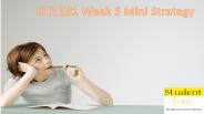 STR 581 Week 5 Mini Strategy