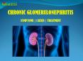 Chronic Glomerulonephritis: Symptoms, Causes and Treatment. PowerPoint PPT Presentation