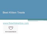 Best Kitten Treats - www.thewhiskerbox.com