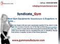 Syndicate Gym Manufacturers- Best Gym Equipments Suppliers in Delhi PowerPoint PPT Presentation