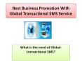 Best Business Promotion with Global Transactional SMS Service PowerPoint PPT Presentation