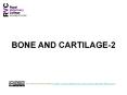 BONE AND CARTILAGE-2 PowerPoint PPT Presentation