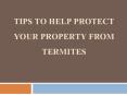 Tips To Help Protect Your Property From Termites PowerPoint PPT Presentation