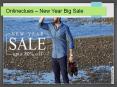 Onlineclues - New Year Big Sale PowerPoint PPT Presentation