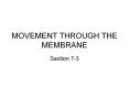 MOVEMENT THROUGH THE MEMBRANE PowerPoint PPT Presentation