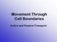 Movement Through Cell Boundaries PowerPoint PPT Presentation