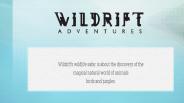 Wildlife Camps in India