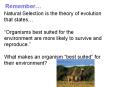 CHAPTER 3: ADAPTATIONS PowerPoint PPT Presentation