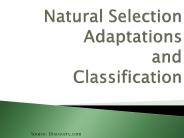 Natural Selection Adaptations and Classification