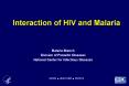 Interaction of HIV and Malaria PowerPoint PPT Presentation