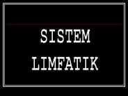 SISTEM