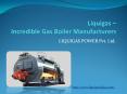 Liquigas – Incredible Gas Boiler Manufacturers most preferred for Industrial Heating and Drying PowerPoint PPT Presentation