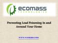 Preventing Lead Poisoning In and Around Your Home PowerPoint PPT Presentation