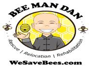 Expert Bee Control for All Your Bee Issues