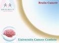 Introduction Brain Tumor | Cancer Treatment in Houston PowerPoint PPT Presentation