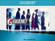 Dedicated Server Hosting Solutions (1)