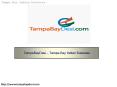 TampaBayDesi – Tampa Bay Indian Business PowerPoint PPT Presentation