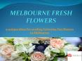 Valentine Day Flower Delivery | Send Roses For Valentine Day | Melbourne Fresh Flowers PowerPoint PPT Presentation