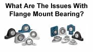 What Are The Issues With Flange Mount Bearing?