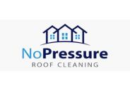 Roof Cleaning the Safe Way