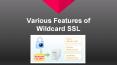 Various Features of Wildcard SSL PowerPoint PPT Presentation