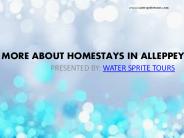 HOMESTAY IN ALLEPPEY (3)