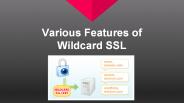 Various Features of Wildcard SSL (1)