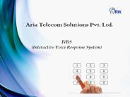 IVR System
