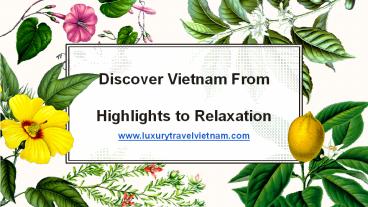 Discover Vietnam From Highlights to Relaxation